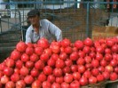 Seller of pomegranates. Kashgar, Xinjiang.