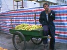 Seller of grapes, Urumuqi. Grapes and the art of winemaking were brought to China by caravan traders along the Silk Road. Xinjiang is one of the major grape growing regions in China today.