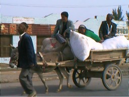 Until two generations ago, the Turkic Uyghurs were still a nomadic people like this family on the road to Kashgar.