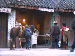 Breakfast on the hoof. Ganzi, Sichuan.