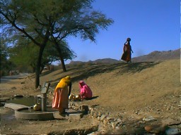 Haldigati women