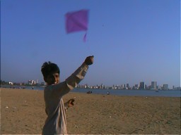 Kite flying