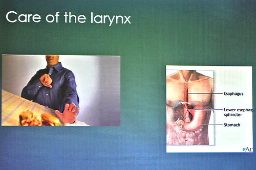 Care of the larynx