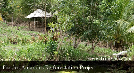 Fondes Amandes Re-forestation Project