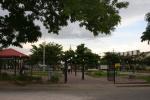 couva0899.jpg