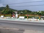 sj040605985.jpg