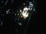 Dsc00075.jpg