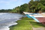 Toco in pictures