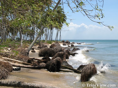 Beach in Constance estate in Icacos
