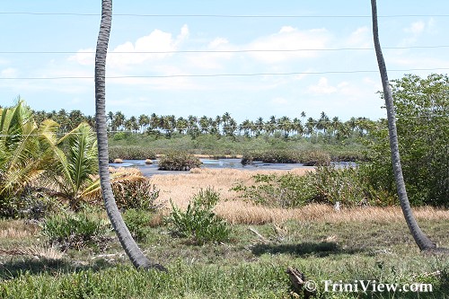 The natural beauty of Icacos