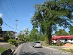 icaM2904072769.jpg