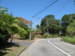 Coromandel, Cedros and Columbus Bay