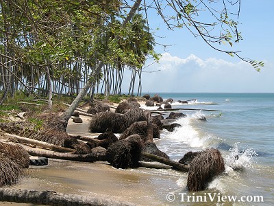 San Fernando to Icacos