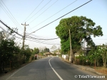 morM1905073481.jpg