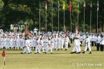 idpL3108075062.jpg