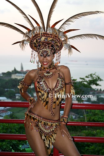 Sneak preview of Kalicharan's 2008 Carnival presentation