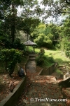 tob0501088121.jpg