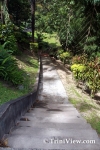 tob0501088125.jpg