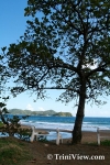 tob0601088526.jpg
