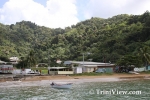 tobA0601080314.jpg