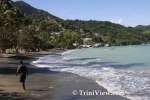 tobA0601080344.jpg