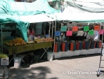 mcM0404082516.jpg