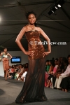 fwcaC2905082429.jpg