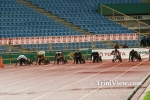 nassC2106080978.jpg