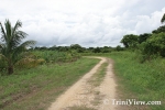 narM0410087932.jpg