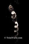 dpmC2810086840.jpg