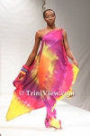 fwttC3105095376.jpg