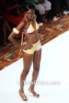 fwttM0206095332.jpg