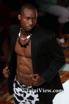 fwttM0206095812.jpg