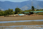 cC0201100444.jpg