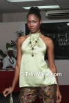 sfwlC2011101104.jpg