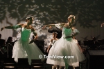nsso0506114461.jpg