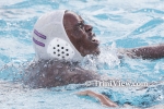 wpL1401126141.jpg