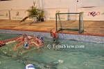wplAH1901134555.jpg