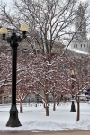 csAH2102136928.jpg