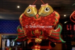Chinese Film Festival Launch - March 6, 2013