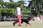 cwdL1905139794.jpg