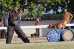 cwdL1905130202.jpg