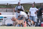 cwdL1905130412.jpg