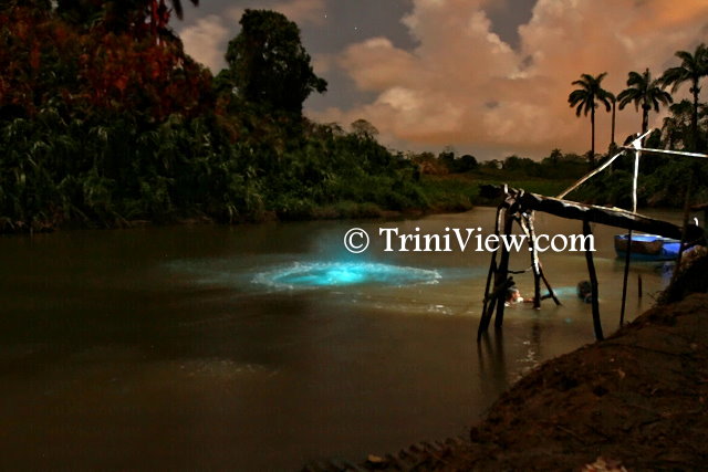 Ortoire River, only a few months ago drew curious visitors when due to the ‘glowing river’ plankton bloom phenomenon, observed here in Cedar Grove Village, Mayaro