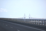 shangL3008148026.jpg