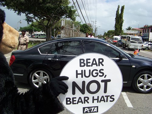 Outside UWI, PETA protests the killing of black bears for palace guards' hats