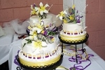 Cakes for all Occasions II and Tea Party