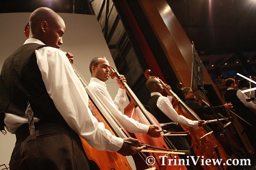 TTYP Advanced Orchestra double bass musicians