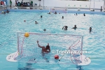 Royhil Seals Water Polo Club's Practice Match
