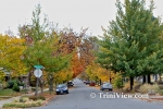 Fall in Denver, Colorado 2012
